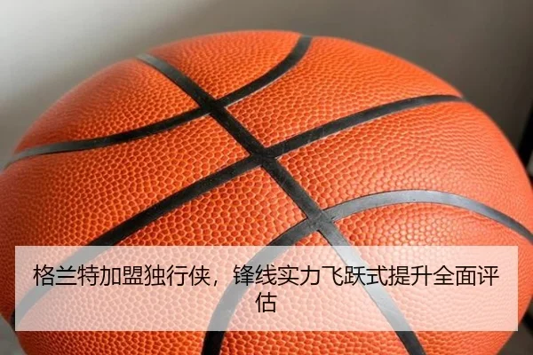 格兰特加盟独行侠，锋线实力飞跃式提升全面评估